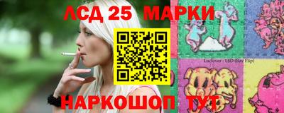 индика Новокубанск