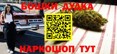 индика Новокубанск