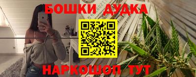 МДПВ Новодвинск