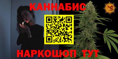 МДПВ Новодвинск